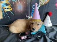 processed/5e78da36-72d7-4efa-98bf-2e4ac9b34f06/listing/c981a904-23c2-4e7e-a253-9b5e2c269d1b/33fd000e-37b4-4d62-85e6-499f4287d4b4