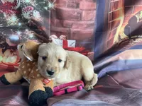 processed/5e78da36-72d7-4efa-98bf-2e4ac9b34f06/listing/c981a904-23c2-4e7e-a253-9b5e2c269d1b/61f32472-3e01-4e6e-810d-edb344ce6121