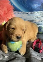 processed/5e78da36-72d7-4efa-98bf-2e4ac9b34f06/listing/c981a904-23c2-4e7e-a253-9b5e2c269d1b/a0103b47-65e2-4804-ad9c-84b1de1af38f