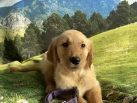 processed/5e78da36-72d7-4efa-98bf-2e4ac9b34f06/listing/e00164f1-588d-4cd9-8ccf-798f7bf6ae67/16f7c718-eb02-4f1e-b9ca-7b89fe27e6ba