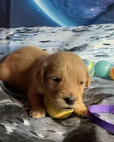 processed/5e78da36-72d7-4efa-98bf-2e4ac9b34f06/listing/e00164f1-588d-4cd9-8ccf-798f7bf6ae67/91680e2d-1860-496a-90c1-a43a1c8a6801