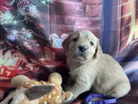 processed/5e78da36-72d7-4efa-98bf-2e4ac9b34f06/listing/e00164f1-588d-4cd9-8ccf-798f7bf6ae67/d3362294-6cdd-4cf8-9b2b-fee468ef6991