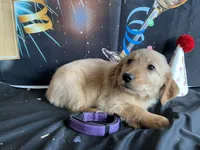 processed/5e78da36-72d7-4efa-98bf-2e4ac9b34f06/listing/e00164f1-588d-4cd9-8ccf-798f7bf6ae67/ee010076-a32d-4311-aa66-fed227a07fbe