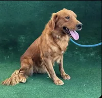 processed/5e78da36-72d7-4efa-98bf-2e4ac9b34f06/listing/e00164f1-588d-4cd9-8ccf-798f7bf6ae67/f0e2f5ad-ba0b-4c95-a610-c6eca0b2c568