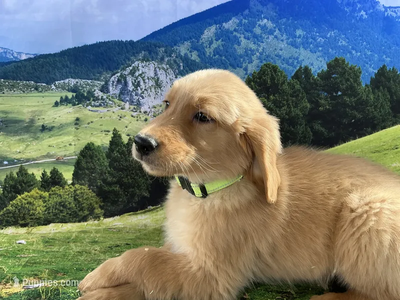 NKC mini lt green BOY