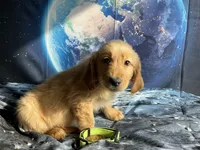 processed/5e78da36-72d7-4efa-98bf-2e4ac9b34f06/listing/e13ff574-d6b0-40e0-ba54-608f3bcf64a1/e9b778e9-d50a-435d-8368-56d257f46571