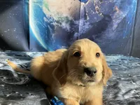 processed/5e78da36-72d7-4efa-98bf-2e4ac9b34f06/listing/e5f2ad79-655c-437a-b8ab-ad65fe2f0ded/24698209-54b5-49f6-bbb1-52ca756326ad