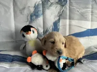 processed/5e78da36-72d7-4efa-98bf-2e4ac9b34f06/listing/e5f2ad79-655c-437a-b8ab-ad65fe2f0ded/665f9001-a338-4e3d-830b-18a376e968a4