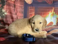 processed/5e78da36-72d7-4efa-98bf-2e4ac9b34f06/listing/e5f2ad79-655c-437a-b8ab-ad65fe2f0ded/993ea430-4a7a-488a-a105-8c462362eebf