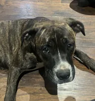 processed/5e78da36-72d7-4efa-98bf-2e4ac9b34f06/listing/fcbdc2f9-4001-49bf-b019-d96a092c34f4/8b24ce2e-ce8b-40ac-9671-3fe447517b7a