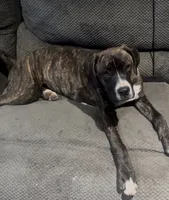 processed/5e78da36-72d7-4efa-98bf-2e4ac9b34f06/listing/fcbdc2f9-4001-49bf-b019-d96a092c34f4/ad536546-981f-44bf-8b0e-acdbaa0d4467