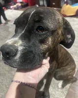 processed/5e78da36-72d7-4efa-98bf-2e4ac9b34f06/listing/fcbdc2f9-4001-49bf-b019-d96a092c34f4/f2691150-a126-4210-82c1-c948dfae656a