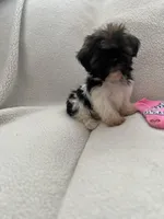 processed/5e82d79f-de8e-47f5-a183-6994b1998342/facility/e5f83e06-81f3-4146-84ad-286c7b12914d