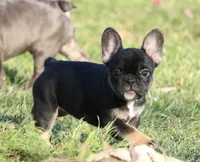 processed/5e97e8b0-e7c3-4b93-9093-bae6a56a3dbe/listing/e5beb25e-69af-4540-9492-cc0565965d5d/1f479349-93f1-429c-9fb2-ac56b0484a07