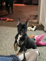 processed/5e97e8b0-e7c3-4b93-9093-bae6a56a3dbe/listing/e5beb25e-69af-4540-9492-cc0565965d5d/3f4f6397-f1bc-4cbc-9ed7-ec75b3b4da07