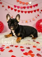 processed/5e97e8b0-e7c3-4b93-9093-bae6a56a3dbe/listing/e5beb25e-69af-4540-9492-cc0565965d5d/b061dc18-4082-4e28-ad9e-a4bfd9a80345