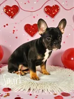 processed/5e97e8b0-e7c3-4b93-9093-bae6a56a3dbe/listing/e5beb25e-69af-4540-9492-cc0565965d5d/bef686f7-c165-4984-9af2-ad0465898b5b