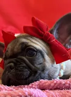 processed/5ea2e02b-73f3-4044-a256-8388d1e322e0/listing/b854e443-c727-42e2-89dc-65ff96073886/1794c80c-62e3-48e0-bda7-5f5bf3c8f8c2