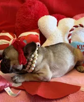 processed/5ea2e02b-73f3-4044-a256-8388d1e322e0/listing/b854e443-c727-42e2-89dc-65ff96073886/408754c9-8393-431b-90b3-8c27926696bf