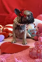 processed/5ea2e02b-73f3-4044-a256-8388d1e322e0/listing/b854e443-c727-42e2-89dc-65ff96073886/8999ee2d-9a16-439f-8871-4a9b261eff2d