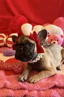 processed/5ea2e02b-73f3-4044-a256-8388d1e322e0/listing/b854e443-c727-42e2-89dc-65ff96073886/e652975d-db15-4d7d-b3e8-0ec57f0e5d0a