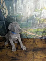 processed/5ea8fcc2-fb2a-4187-a5f2-113349e4ccc5/listing/656dfcff-7bbf-4625-ae6f-9bdc3832ad7e/536b6bf4-85d6-409f-9ee2-ea19e514a1f1