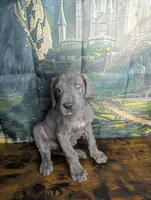 processed/5ea8fcc2-fb2a-4187-a5f2-113349e4ccc5/listing/656dfcff-7bbf-4625-ae6f-9bdc3832ad7e/56bdc888-ddcc-44bf-8030-aa3f6cd27e11