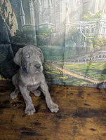 processed/5ea8fcc2-fb2a-4187-a5f2-113349e4ccc5/listing/656dfcff-7bbf-4625-ae6f-9bdc3832ad7e/7aa446c5-8986-47b9-b163-4edaf6134631