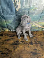 processed/5ea8fcc2-fb2a-4187-a5f2-113349e4ccc5/listing/656dfcff-7bbf-4625-ae6f-9bdc3832ad7e/fb49640d-5751-4bd3-a6e4-9e12cf9b609e