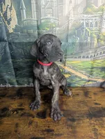 processed/5ea8fcc2-fb2a-4187-a5f2-113349e4ccc5/listing/c3745150-4d08-46af-a7bb-00f04d3e964f/0a722981-5d6e-407d-8795-e71e73ffab1b