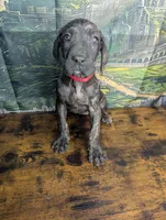 processed/5ea8fcc2-fb2a-4187-a5f2-113349e4ccc5/listing/c3745150-4d08-46af-a7bb-00f04d3e964f/0e55c534-3ff7-402c-81b4-9f52ca838ed0