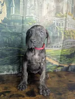 processed/5ea8fcc2-fb2a-4187-a5f2-113349e4ccc5/listing/c3745150-4d08-46af-a7bb-00f04d3e964f/3796c2bf-21b4-4d0c-8ba3-b0cae68aa5ab