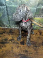 processed/5ea8fcc2-fb2a-4187-a5f2-113349e4ccc5/listing/c3745150-4d08-46af-a7bb-00f04d3e964f/8ae4f315-2532-4b58-9151-33901ca84acb