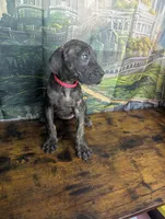 processed/5ea8fcc2-fb2a-4187-a5f2-113349e4ccc5/listing/c3745150-4d08-46af-a7bb-00f04d3e964f/daf8c2b3-a9ed-4743-8aa7-5c85b1ee6075