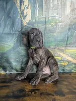 processed/5ea8fcc2-fb2a-4187-a5f2-113349e4ccc5/listing/e1776d1c-f12f-481e-bc06-4277f07a003c/2f093d6e-6ccc-45fa-9489-b283de2ec8b2