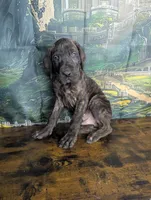 processed/5ea8fcc2-fb2a-4187-a5f2-113349e4ccc5/listing/e1776d1c-f12f-481e-bc06-4277f07a003c/c47ac4bb-d464-408a-adda-a7856e6e904f