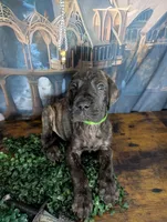 processed/5ea8fcc2-fb2a-4187-a5f2-113349e4ccc5/listing/e1776d1c-f12f-481e-bc06-4277f07a003c/cc5b149c-414c-4e6b-a114-62f0d7c45a53