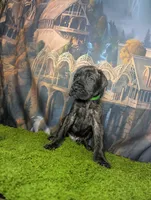 processed/5ea8fcc2-fb2a-4187-a5f2-113349e4ccc5/listing/e1776d1c-f12f-481e-bc06-4277f07a003c/d2d8e3d6-34ed-48a6-8cac-d338401a46d8