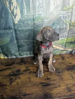 processed/5ea8fcc2-fb2a-4187-a5f2-113349e4ccc5/listing/e385a84e-39f9-4369-acb5-3369476a7fd0/2708ef25-262a-4d9e-ad0f-810c95943d83