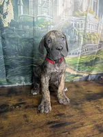 processed/5ea8fcc2-fb2a-4187-a5f2-113349e4ccc5/listing/e385a84e-39f9-4369-acb5-3369476a7fd0/8b7b7a62-9c72-4e5b-a0fc-e3b167f43eb5