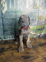 processed/5ea8fcc2-fb2a-4187-a5f2-113349e4ccc5/listing/e385a84e-39f9-4369-acb5-3369476a7fd0/b7191398-41c7-4fc7-94d8-c9312795abf2