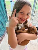 Selena, a female American Pit Bull Terrier for sale in DeLand, FL – 2 of 10