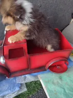 processed/5ebdc23e-2b16-4ae9-bc42-e03c68f61fad/listing/1b59f19f-ccda-4163-b145-c93c8d20d8db/4493c4d8-a7b0-4205-91a4-20a7f8a50dab