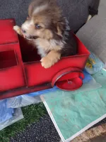 processed/5ebdc23e-2b16-4ae9-bc42-e03c68f61fad/listing/1b59f19f-ccda-4163-b145-c93c8d20d8db/a2da731d-9722-4332-90ee-130ef6f658d5