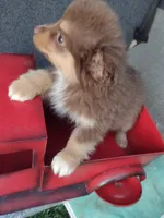 processed/5ebdc23e-2b16-4ae9-bc42-e03c68f61fad/listing/79b8f9ee-76cc-4b7f-8b8a-817f518f9b63/38bd59b0-78c8-4ecb-be1e-c9684b4f1dac