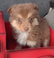 processed/5ebdc23e-2b16-4ae9-bc42-e03c68f61fad/listing/79b8f9ee-76cc-4b7f-8b8a-817f518f9b63/6d86e8d3-14cf-4cd0-80c7-42613cce1a6c