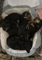 processed/5ec85da5-1503-41af-a329-3ef6aa7df029/facility/322e1478-ea3c-41f3-b16e-afadd52db609