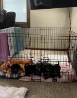 processed/5ec85da5-1503-41af-a329-3ef6aa7df029/facility/45653b1b-24ab-4412-8c06-a5537169e061