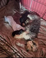 processed/5ec85da5-1503-41af-a329-3ef6aa7df029/facility/9bba2c35-05c0-4578-95de-72252672e263