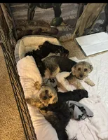 processed/5ec85da5-1503-41af-a329-3ef6aa7df029/facility/e85835b4-dce5-40e3-a4ed-0de7d3040774